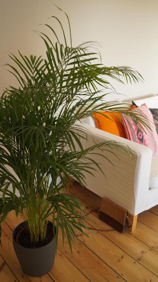 Les Terrasses De Templeuve Bed & Breakfast Luaran gambar